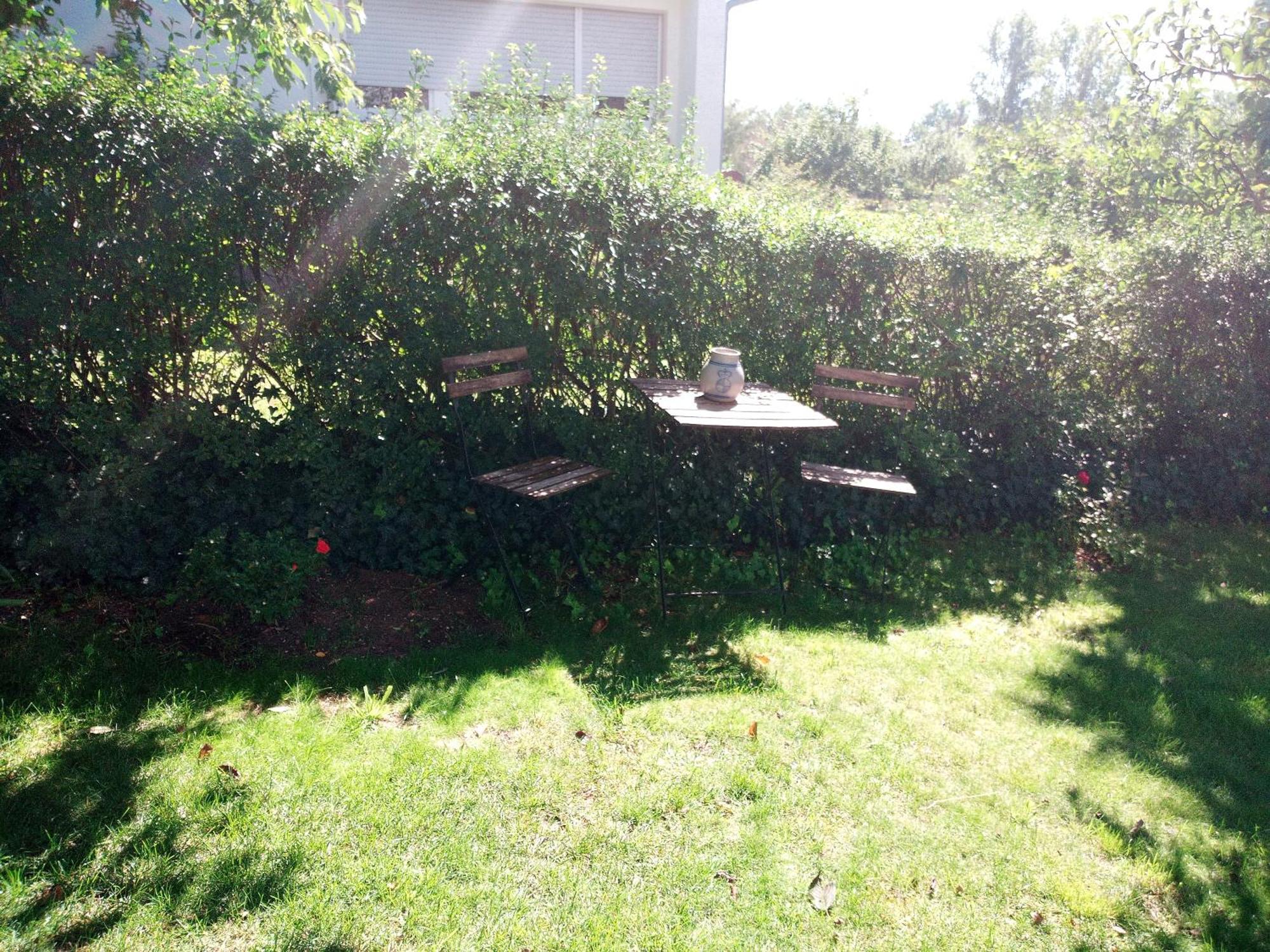Ferienwohnung Schwalbennest Sommerach Εξωτερικό φωτογραφία