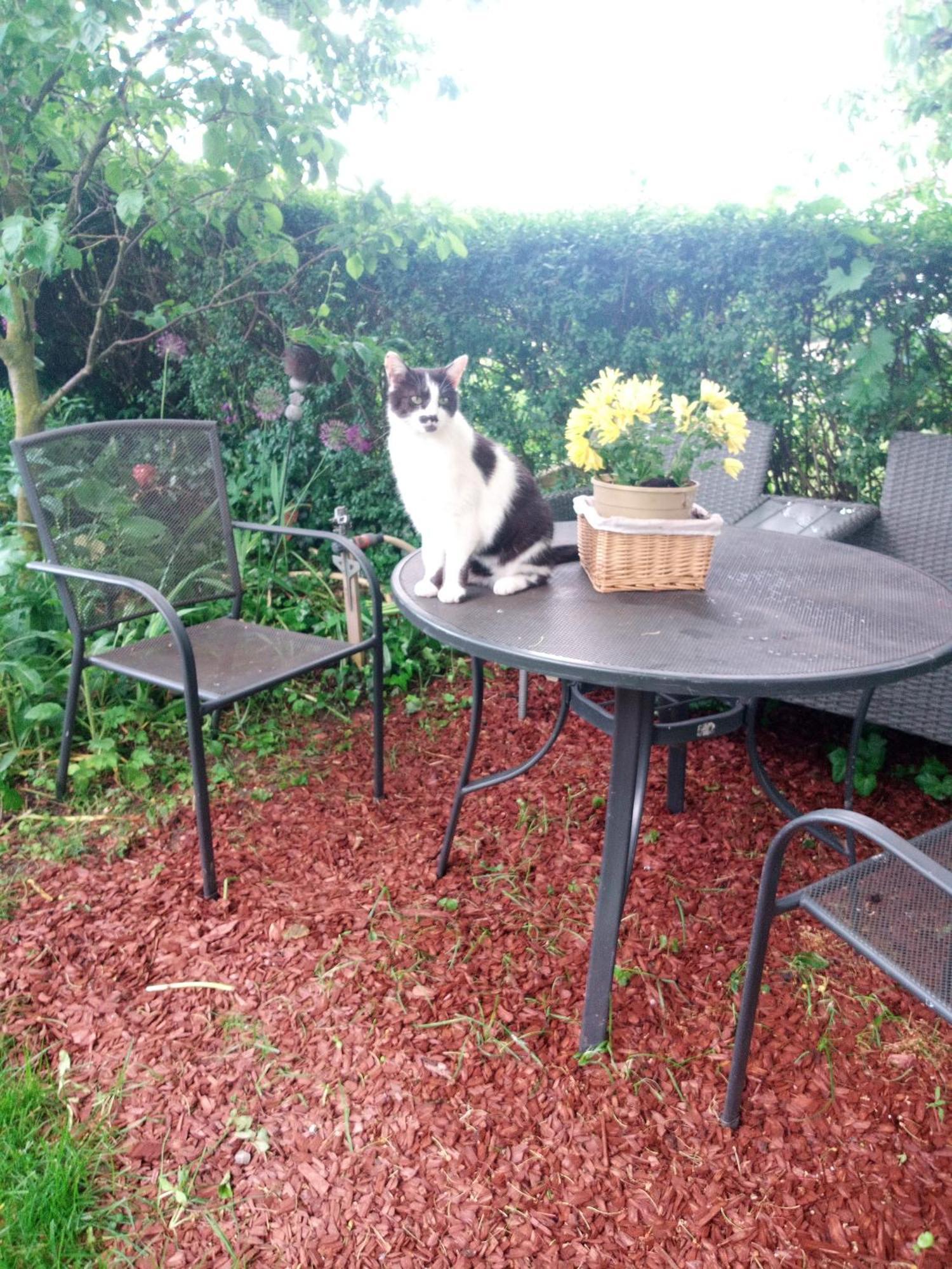 Ferienwohnung Schwalbennest Sommerach Εξωτερικό φωτογραφία
